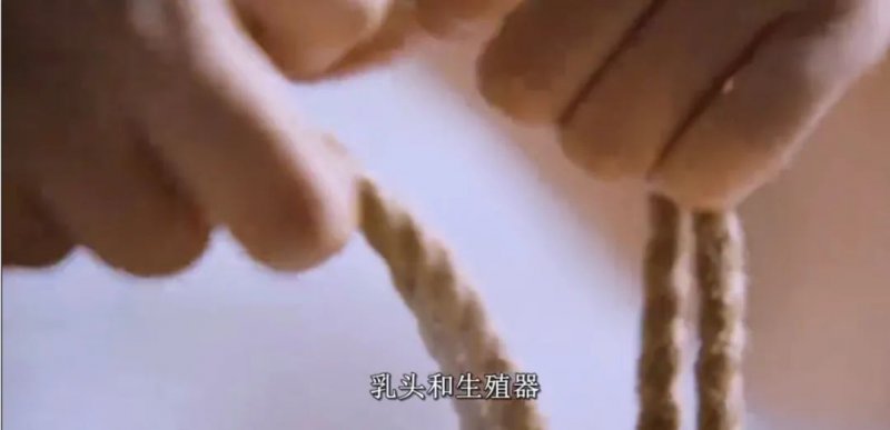 全球年轻人性生活方式大赏 最荤的是哪个国家