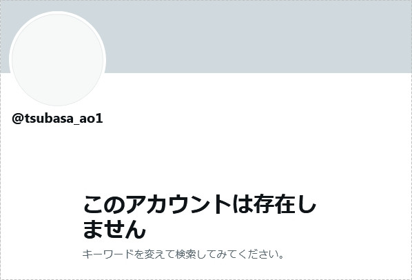 Twitter、IG全删、事务所移除资料、翼あおい消灭！