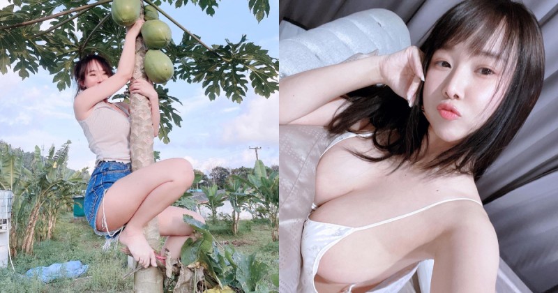 【捕鱼王】巨乳小姐姐背「兩顆大木瓜」爬樹摘木瓜　打算以形補形嗎？
