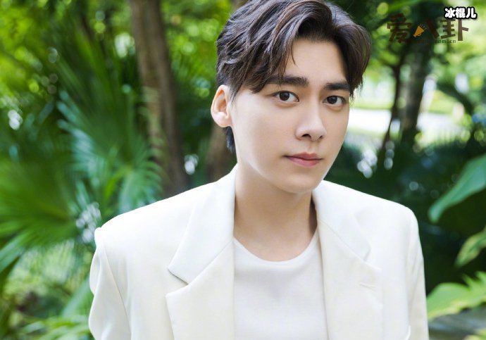 【捕鱼王】李易峰交通逃逸事件,李易峰逃逸是为了不追究法律责任吗