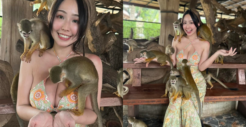 【捕鱼王】一群幸福的猴子！「希希」造訪美功鐵道，「挺出傲乳」差點撞火車！